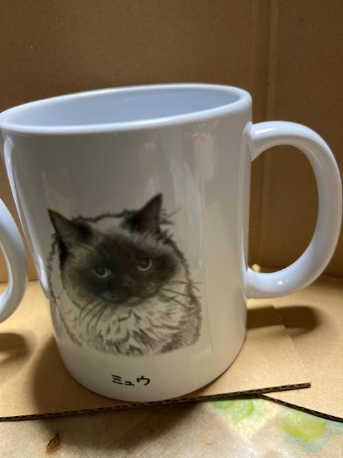 ギフトラッピング（ギフト用・単品販売は出来ません）