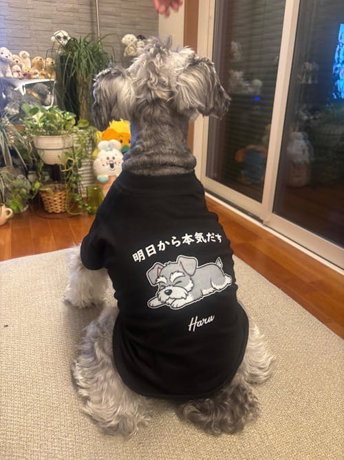 【犬種選べる・名前入れ可能】明日から本気だす 犬用Tシャツ 犬服｜綿100%・小型～中型犬