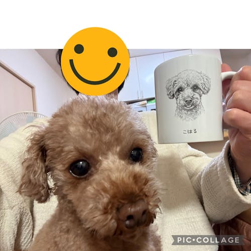 名入れ・写真アート変換｜うちの子マグカップ／inujoy