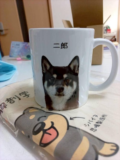 名入れ・写真入れマグカップ｜うちの子マグカップ／inujoy
