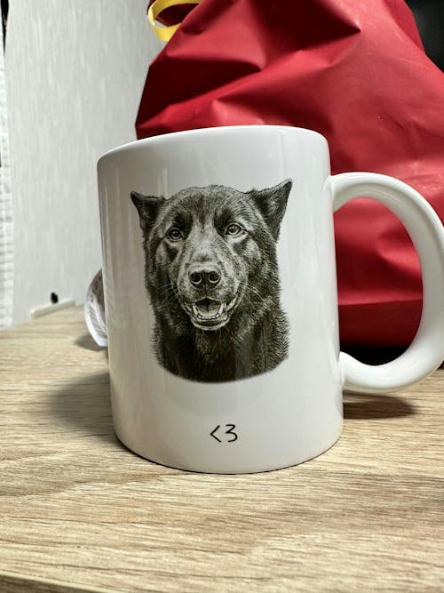 名入れ・写真アート変換｜うちの子マグカップ／inujoy