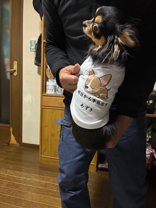 【犬種選べる・名前入れ可能】明日から本気だす 犬用Tシャツ 犬服｜綿100%・小型～中型犬
