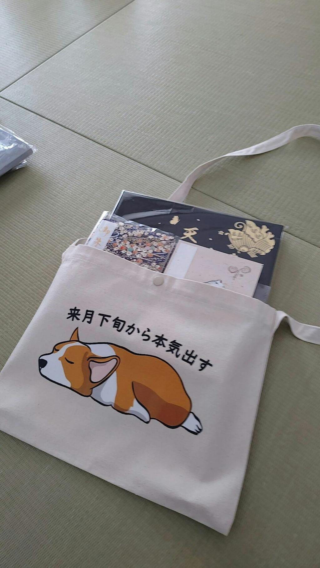 犬イラスト　レギュラー キャンバス サコッシュ　Corgi犬 来月下旬から本気出す