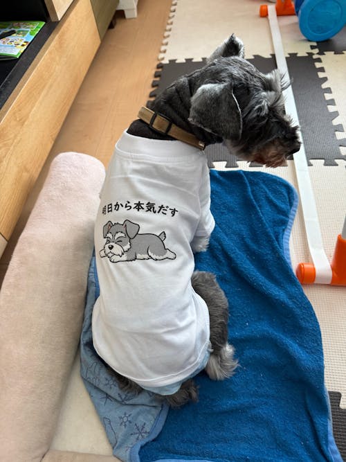 【犬種選べる・名前入れ可能】明日から本気だす 犬用Tシャツ 犬服｜綿100%・小型～中型犬