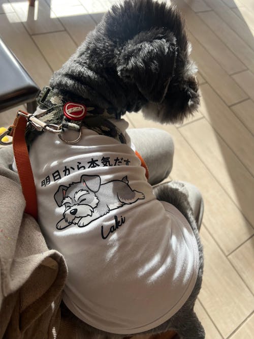 【犬種選べる・名前入れ可能】明日から本気だす 犬用Tシャツ 犬服｜綿100%・小型～中型犬