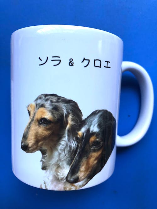 名入れ・写真入れマグカップ｜うちの子マグカップ／inujoy