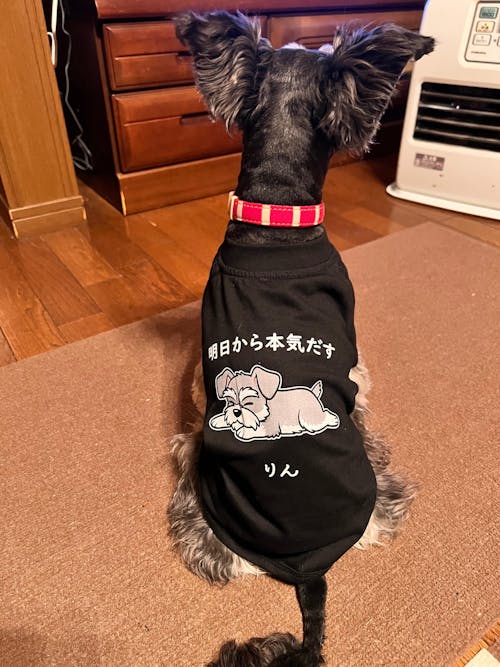【犬種選べる・名前入れ可能】明日から本気だす 犬用Tシャツ 犬服｜綿100%・小型～中型犬