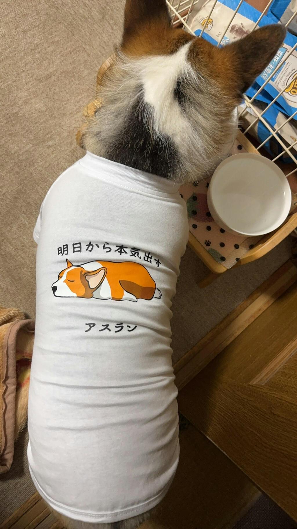 【犬種選べる・名前入れ可能】明日から本気だす 犬用Tシャツ 犬服｜綿100%・小型～中型犬