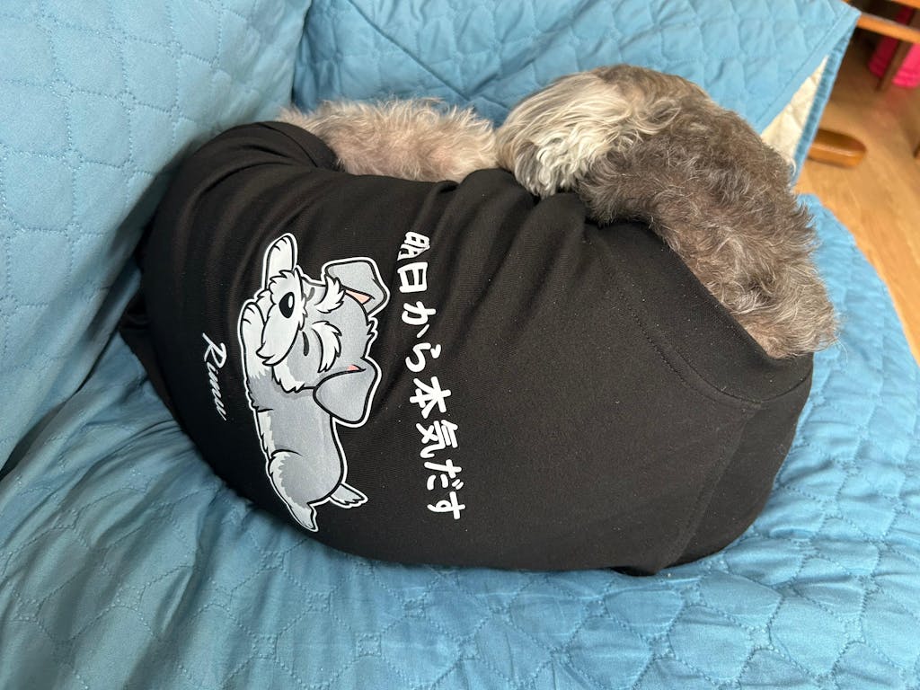 ギフトラッピング（ギフト用・単品販売は出来ません）