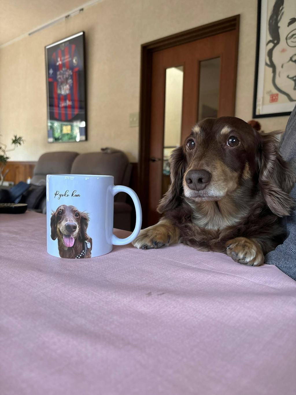 名入れ・写真入れマグカップ｜うちの子マグカップ／inujoy