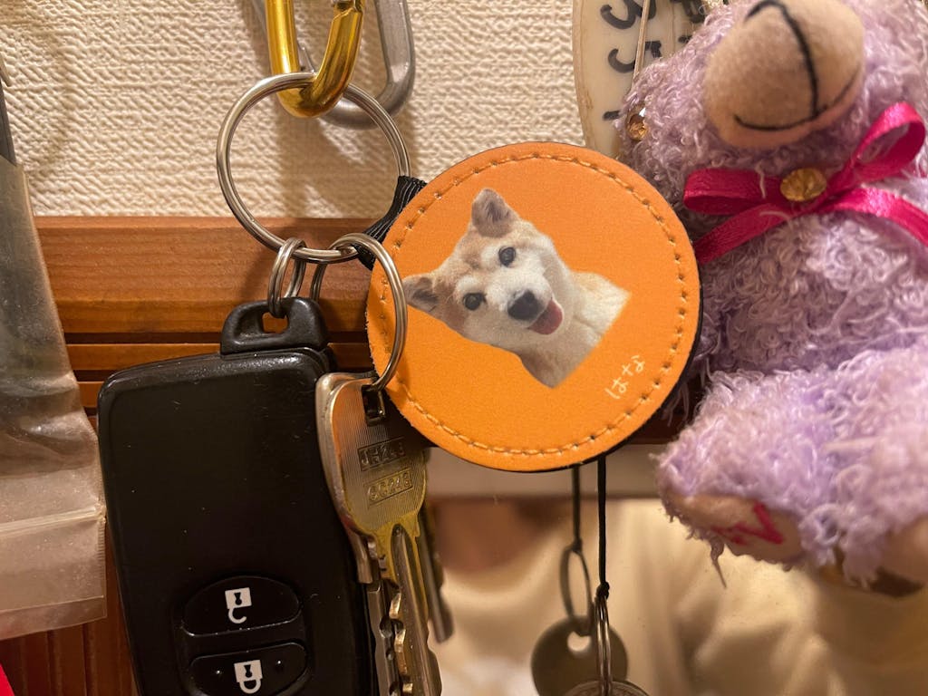 【名入れ対応】ペット写真キーホルダー｜犬・猫オリジナル写真入り｜うちの子グッズ・誕生日ギフトに人気 | Inujoy