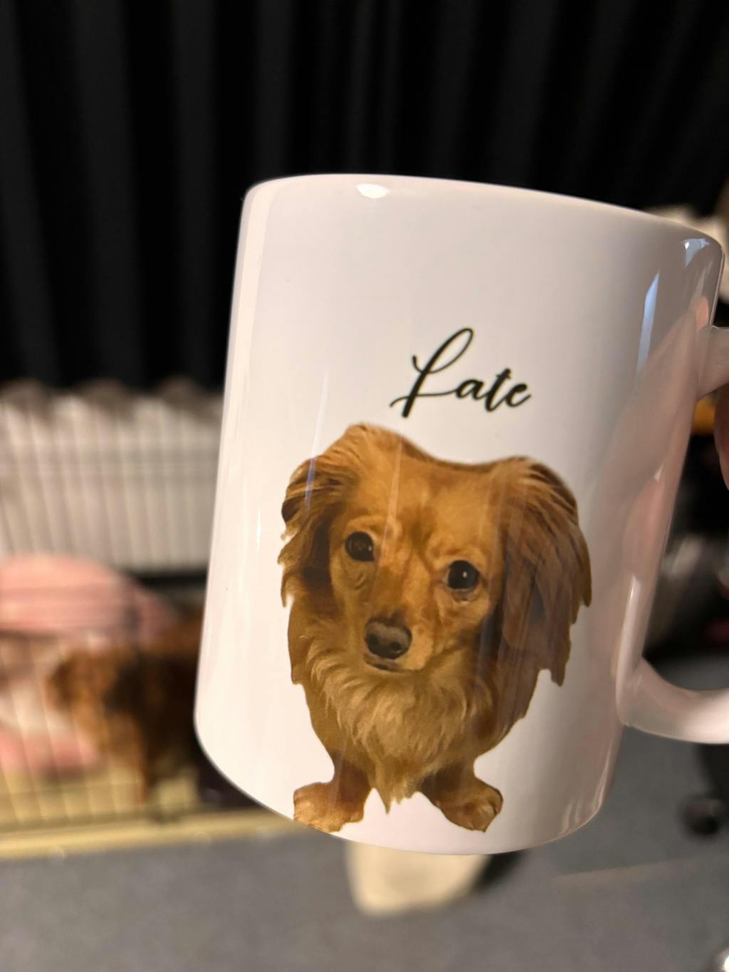 名入れ・写真入れマグカップ｜うちの子マグカップ／inujoy