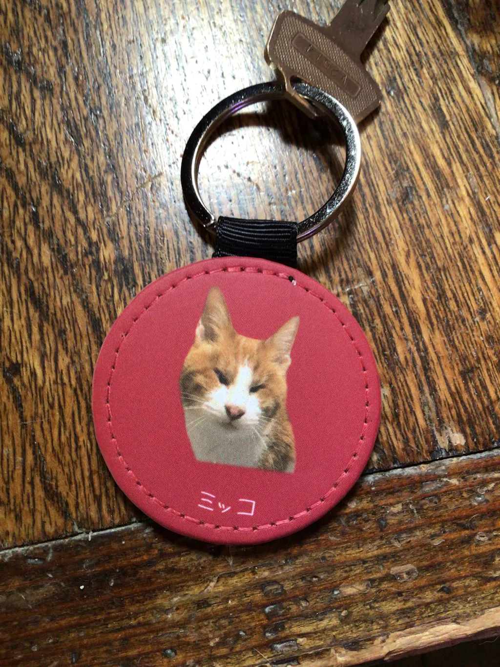 【名入れ対応】ペット写真キーホルダー｜犬・猫オリジナル写真入り｜うちの子グッズ・誕生日ギフトに人気 | Inujoy