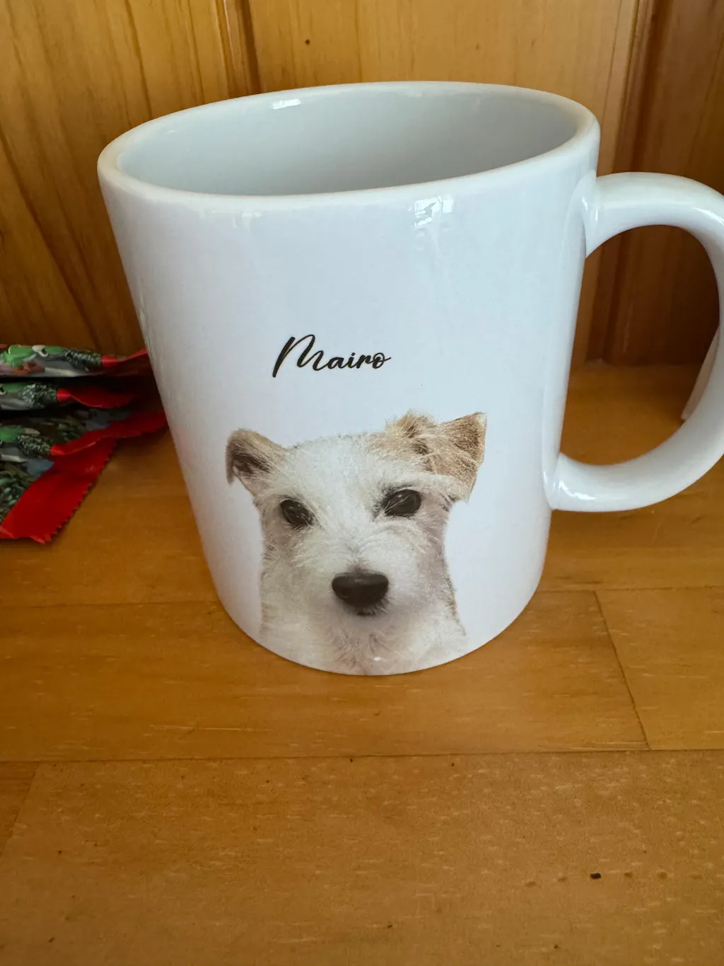 名入れ・写真入れ｜うちの子Tシャツ／inujoy