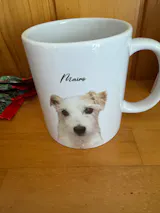 User picture
