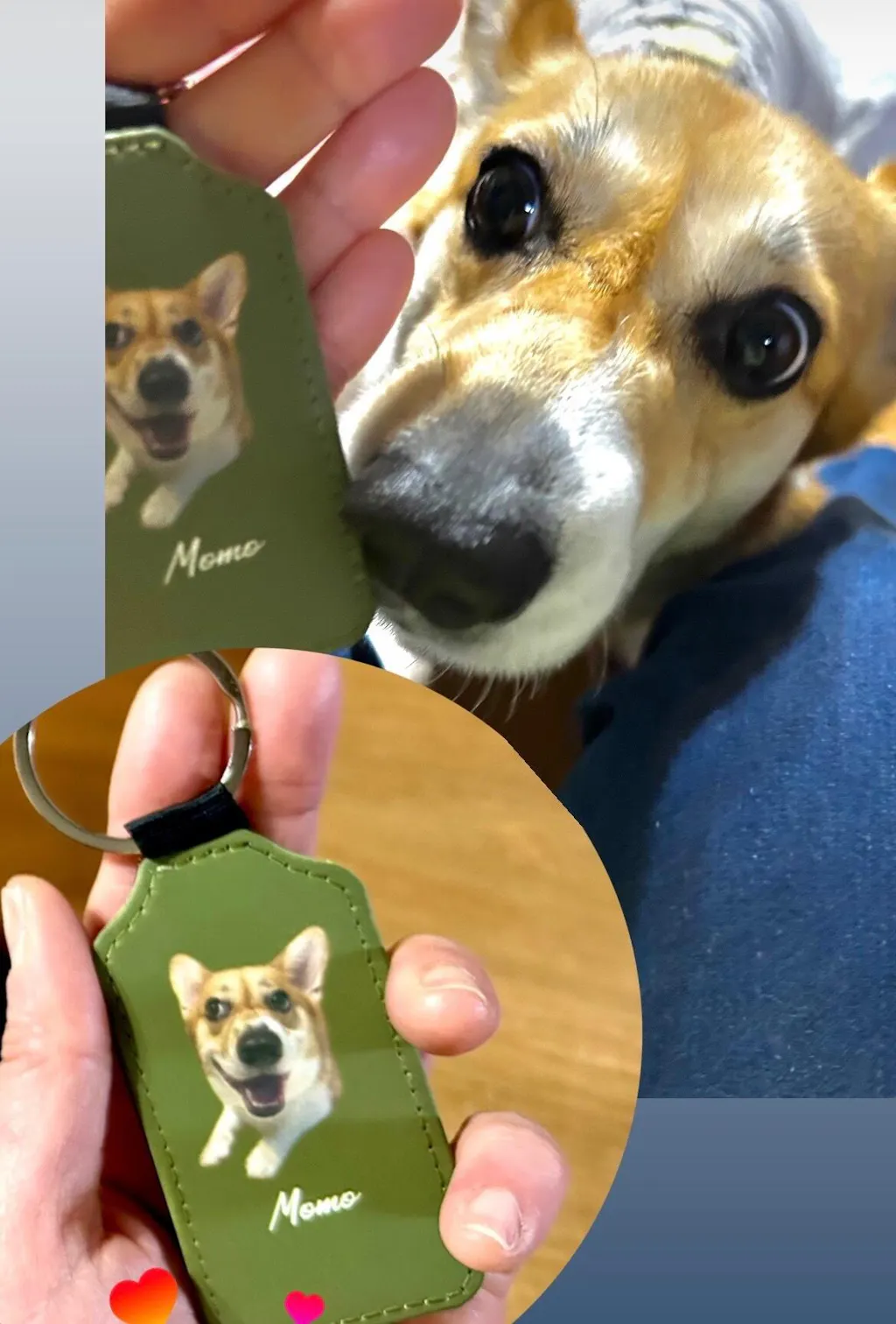 【名入れ対応】ペット写真キーホルダー｜犬・猫オリジナル写真入り｜うちの子グッズ・誕生日ギフトに人気 | Inujoy