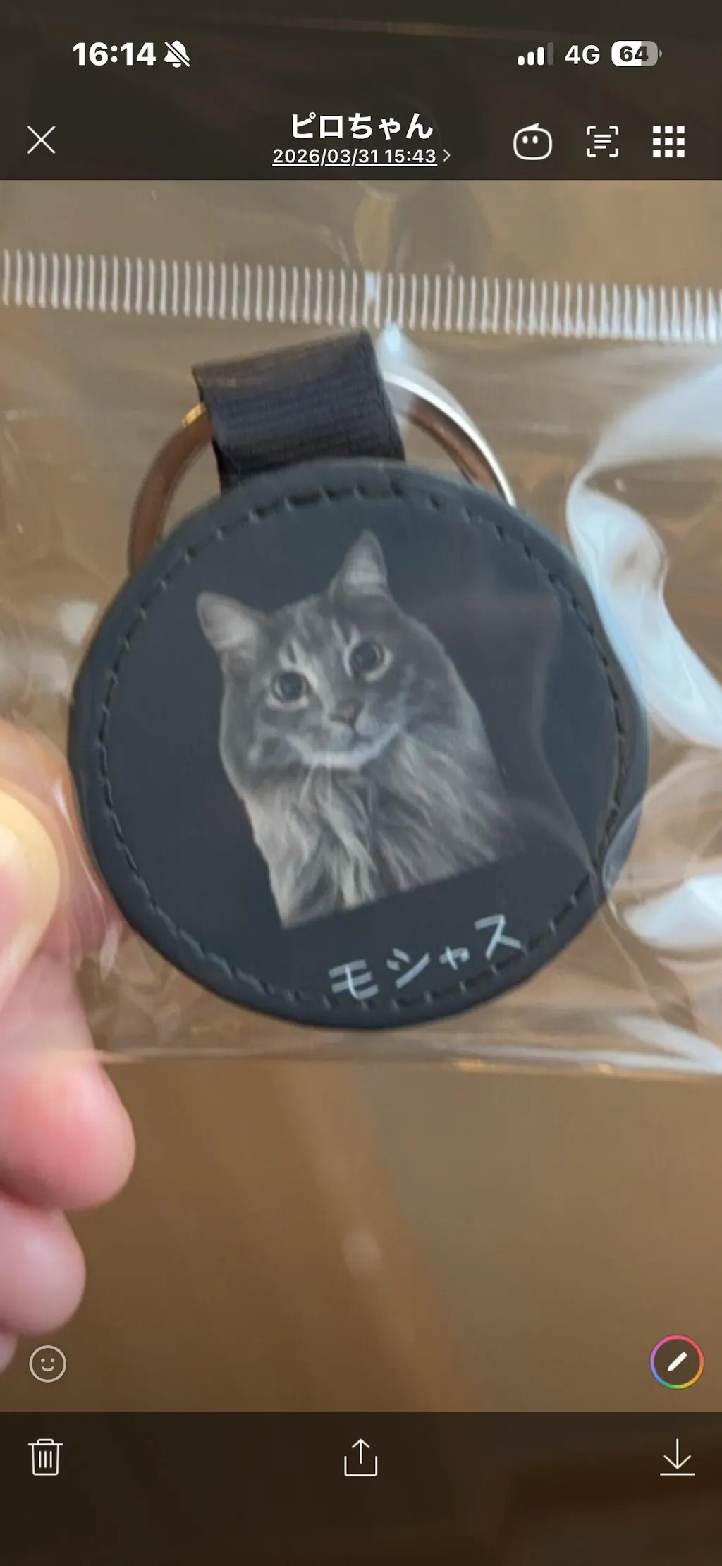 【名入れ対応】ペット写真キーホルダー｜犬・猫オリジナル写真入り｜うちの子グッズ・誕生日ギフトに人気 | Inujoy