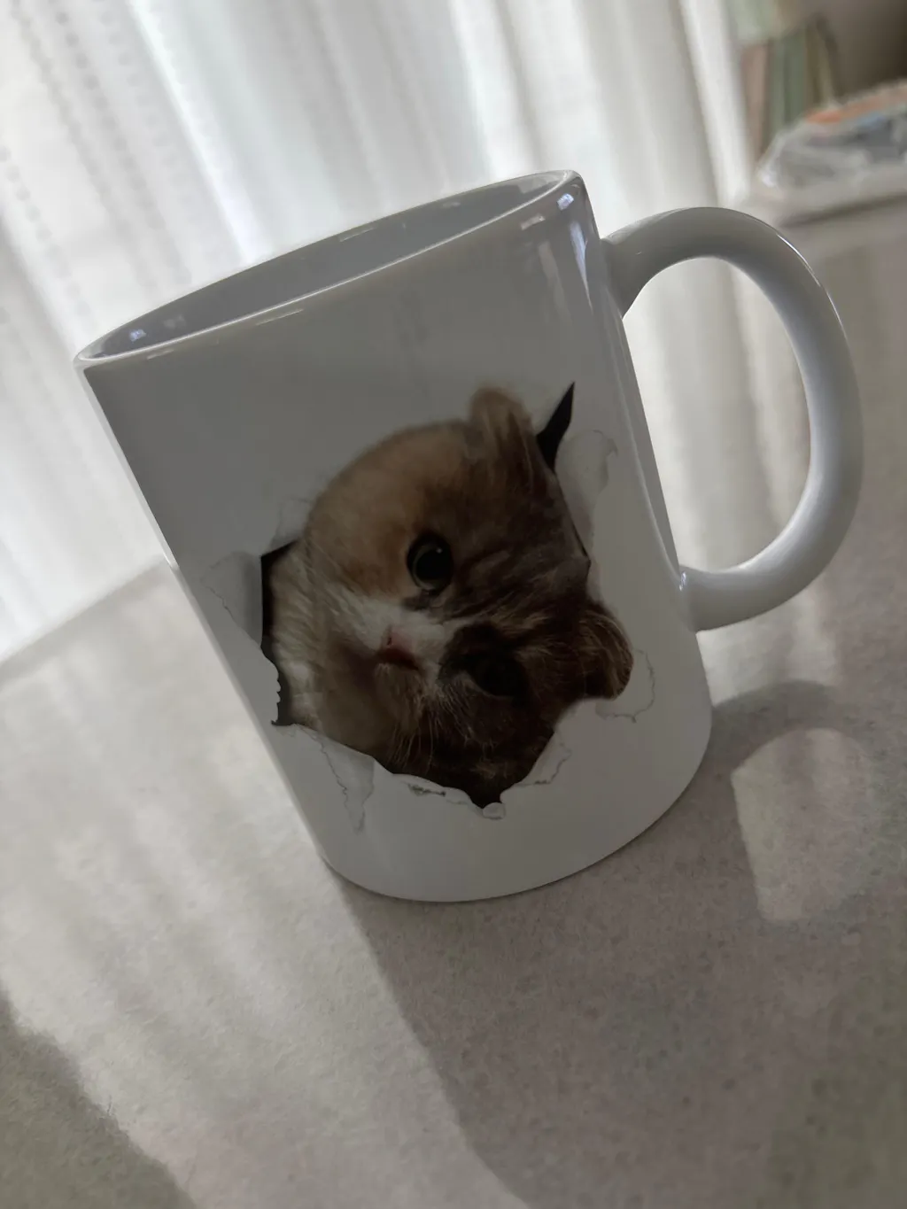 名入れマグカップ 飛び出す ペット写真 | うちの子マグカップ オリジナルギフト | Inujoy