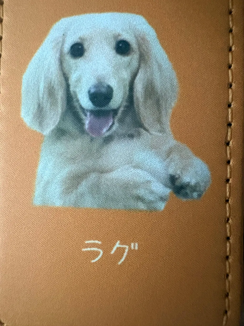 【名入れ対応】ペット写真キーホルダー｜犬・猫オリジナル写真入り｜うちの子グッズ・誕生日ギフトに人気 | Inujoy