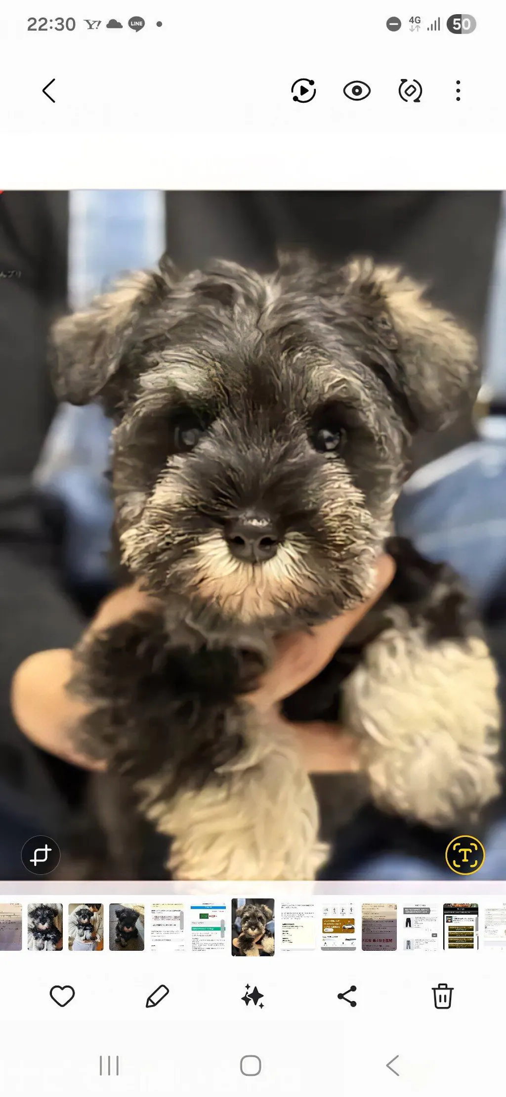 【名入れ対応】ペット写真キーホルダー｜犬・猫オリジナル写真入り｜うちの子グッズ・誕生日ギフトに人気 | Inujoy