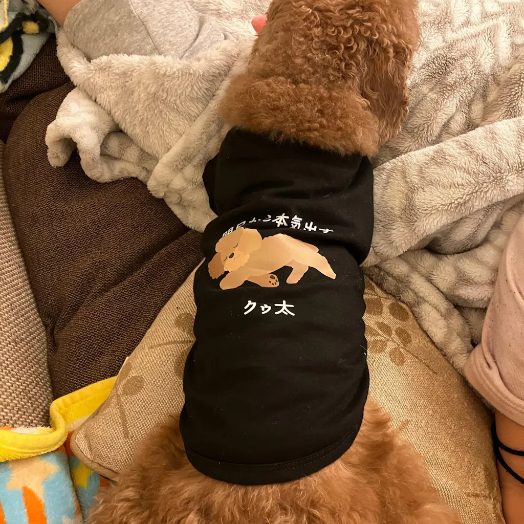 【犬種選べる・名前入れ可能】明日から本気だす 犬用Tシャツ 犬服｜綿100%・小型～中型犬
