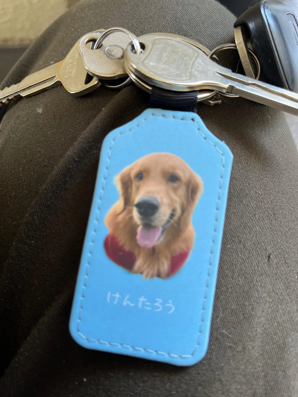 【名入れ対応】ペット写真キーホルダー｜犬・猫オリジナル写真入り｜うちの子グッズ・誕生日ギフトに人気 | Inujoy