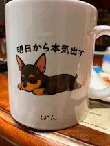 User picture