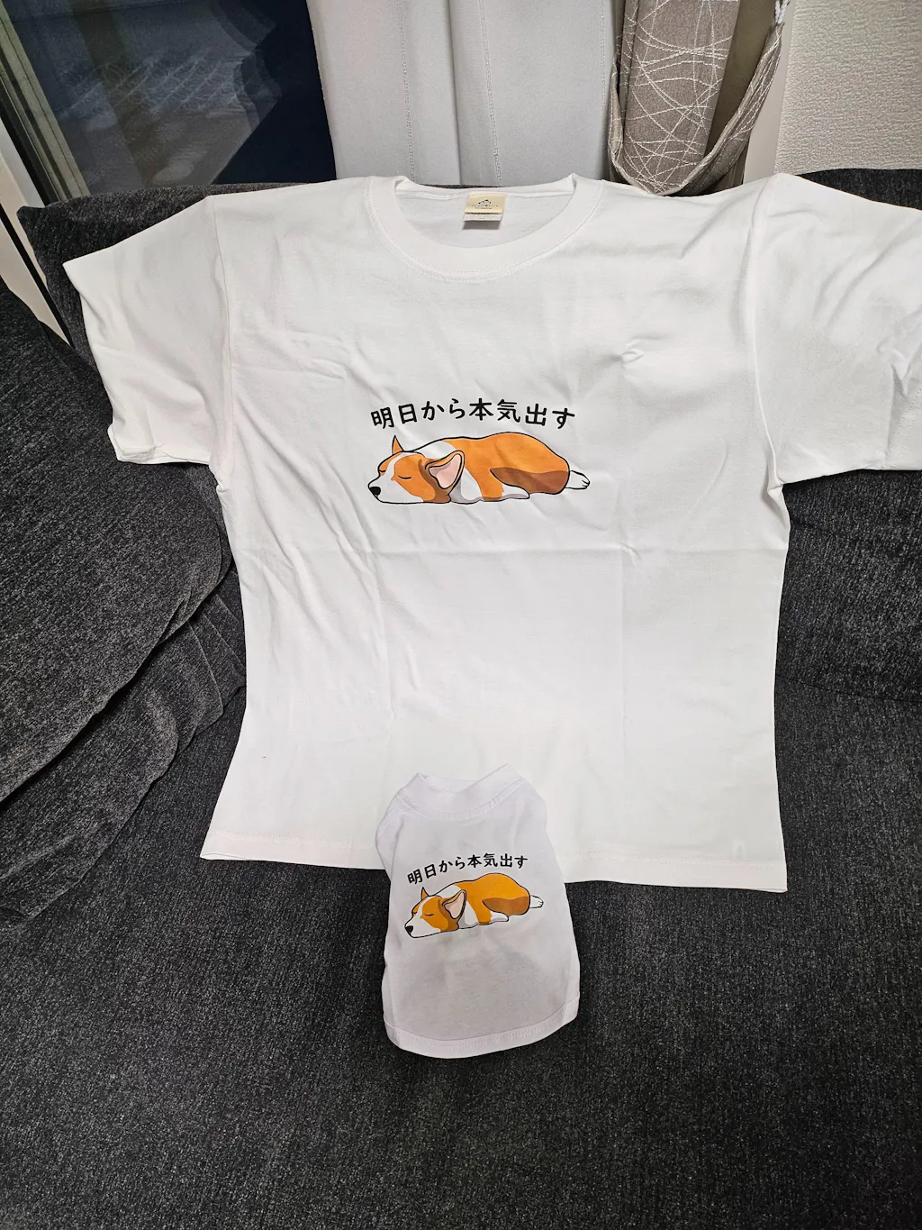 犬 tシャツ 犬イラスト コーギー犬 明日から本気出す｜アダルト&キッズサイズ