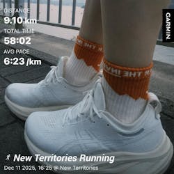 Invisible x The Peak Hunter: Merino Performance Targeted Cushion Mid Crew Trail Socks