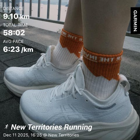 Invisible x The Peak Hunter: Merino Performance Targeted Cushion Mid Crew Trail Socks