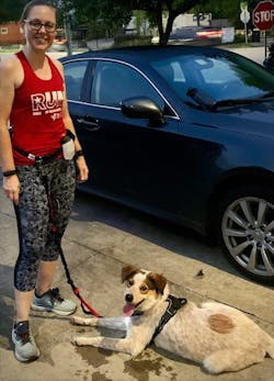 Runner's Choice Hands-Free Dog Leash (with Belt)
