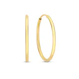 Imagem do utilizador