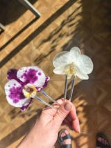 Peineta Orquídea Blanca