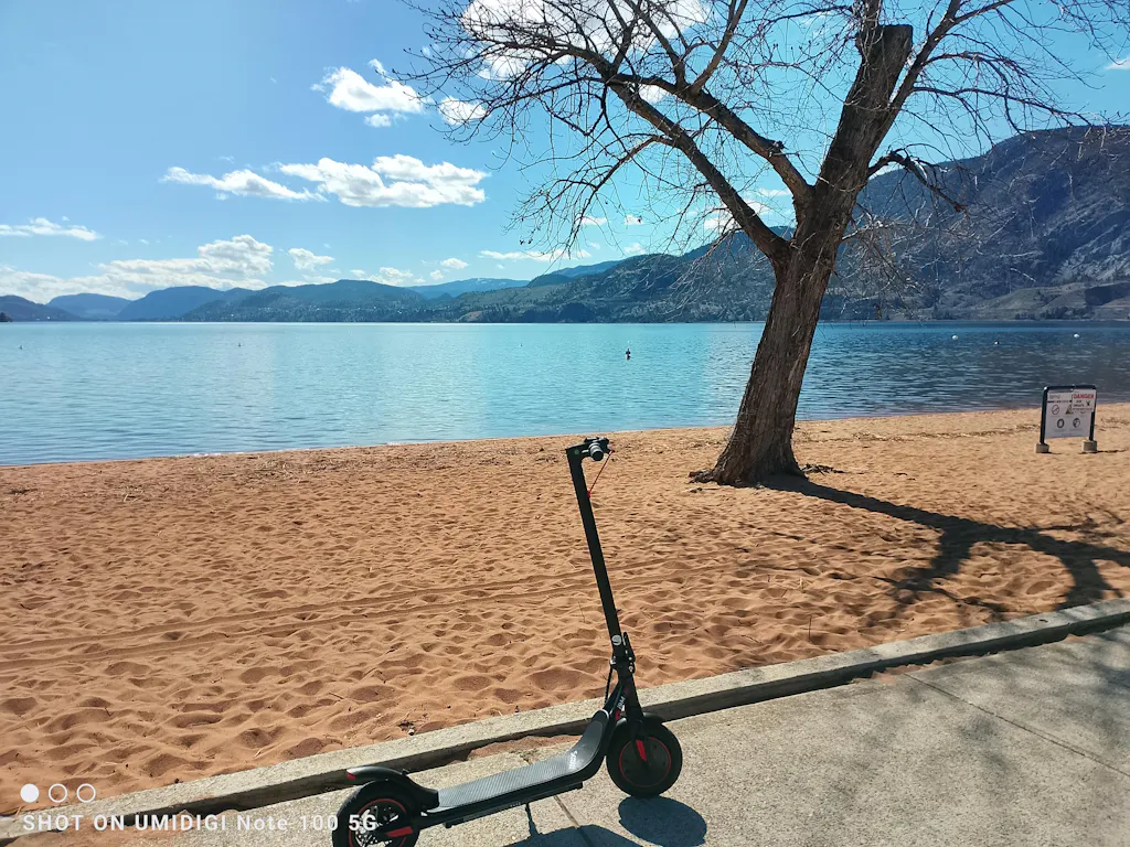 iScooter i9M Foldable Commuting Electric Scooter