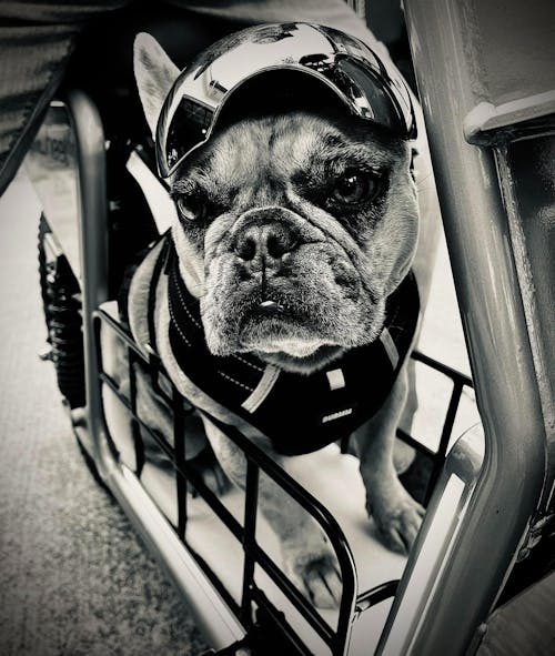 isinwheel H7Pro 1200W High-End Commuting Electric Scooter with Seat