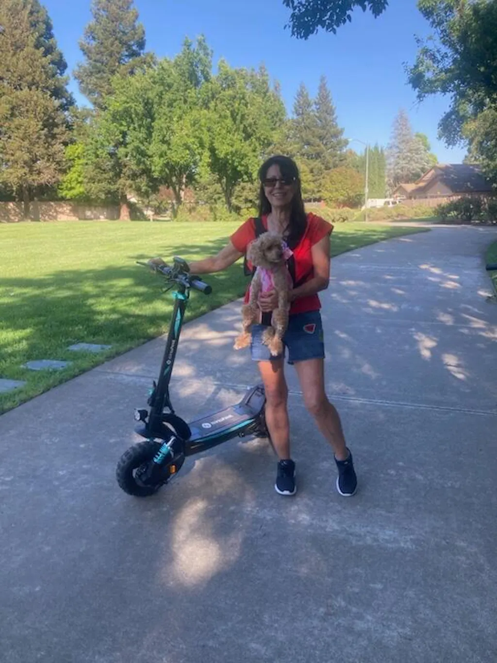 isinwheel GT2 Pro Off Road Electric Scooter 2026 Upgraded Version