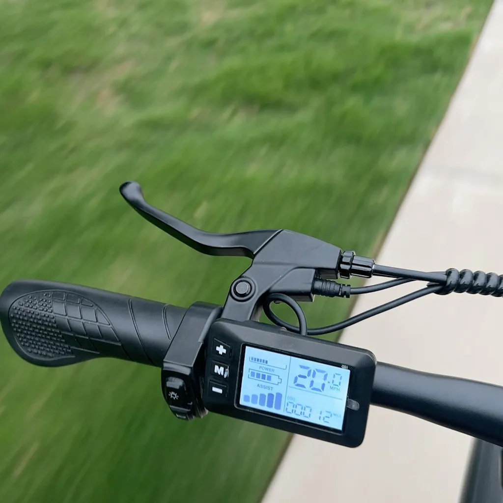 isinwheel M10Pro Electric Bike for Adults