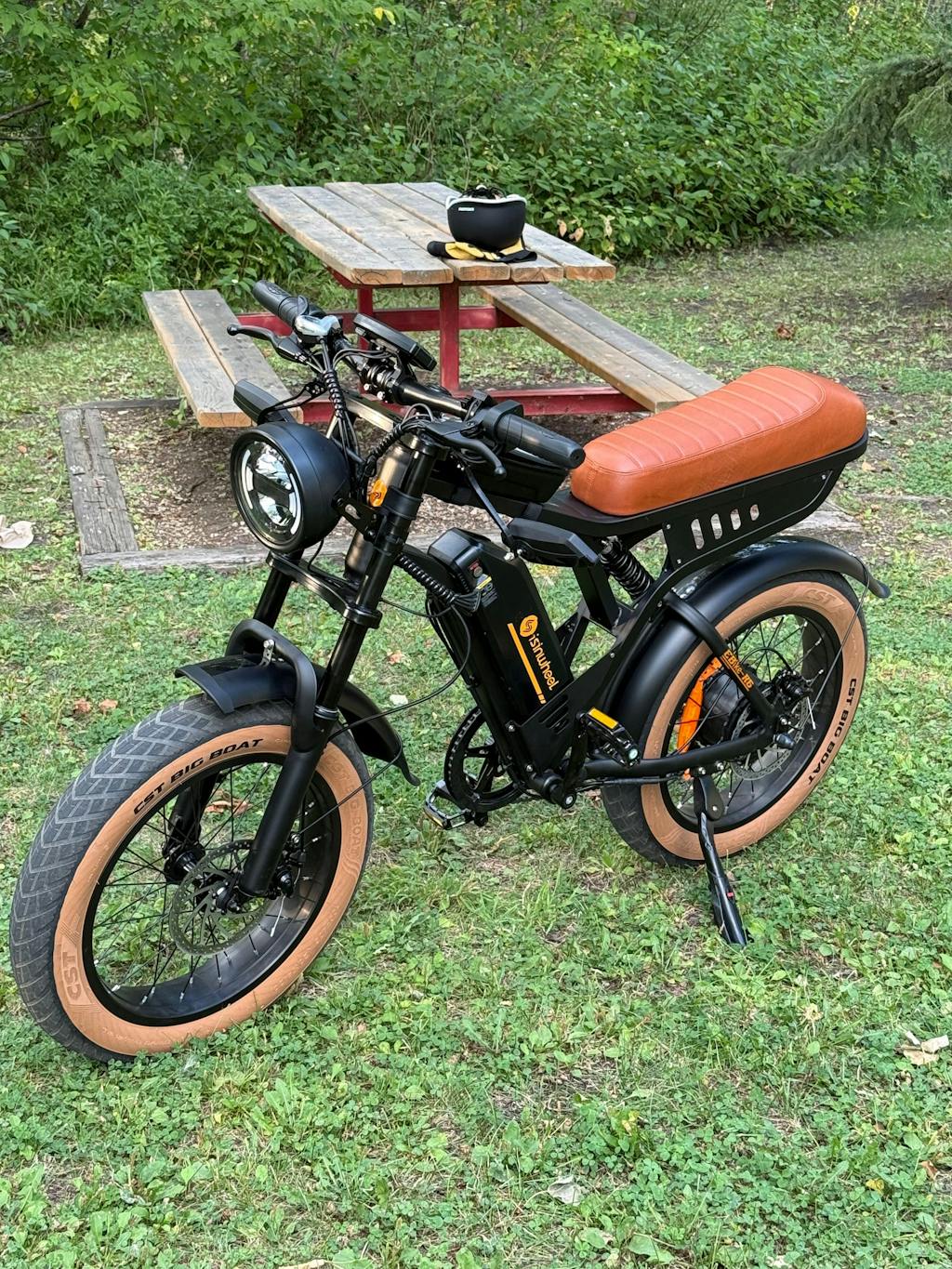 isinwheel R6 Retro Electric Bike