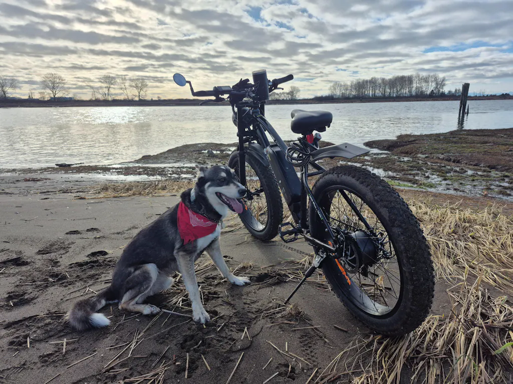 isinwheel M10Plus Electric Bike