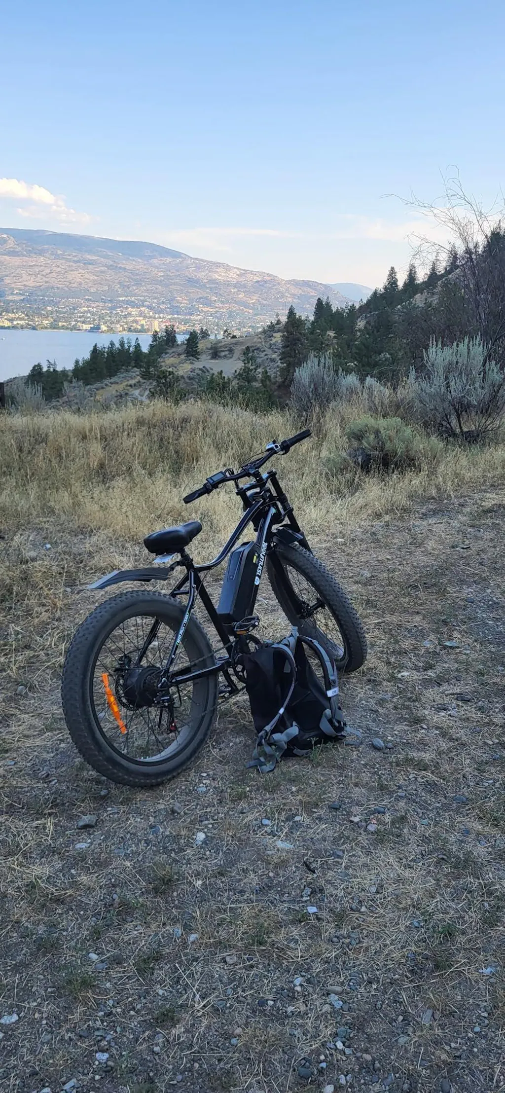 isinwheel M10Plus Electric Bike