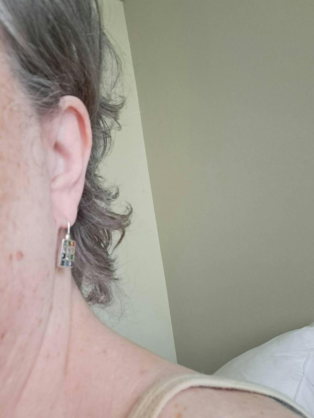 עגילי חושן (1.1*1.4 ס"מ) מכסף 925 משובצים ב-12 קריסטלים