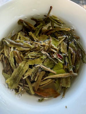 White Tea -Wild gongmei