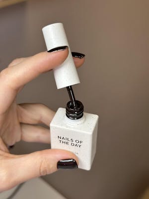 NAILSOFTHEDAY Color of the month November 2025 Deep Brown, 10 ml