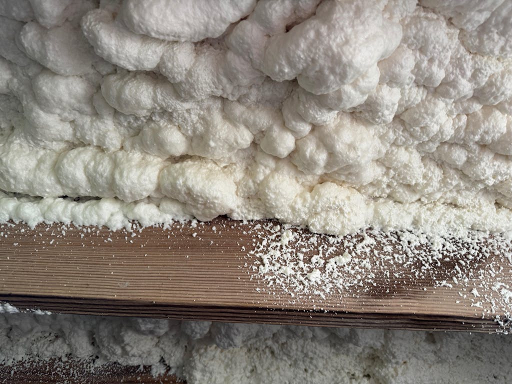 Spray Foam Insulation Kit (30 oz./850gr)