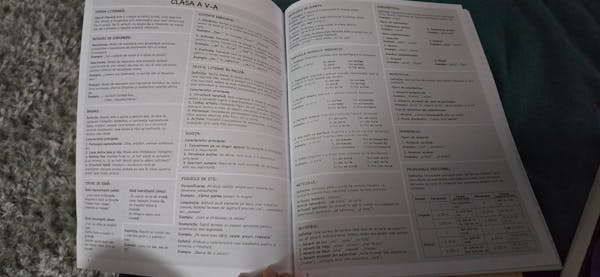 Caiet Izzie de Română A4 (cu Teorie)