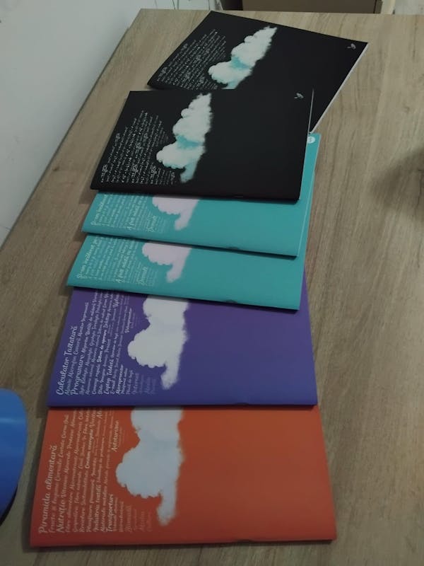 Caiet Izzie de Română A4 (cu Teorie)