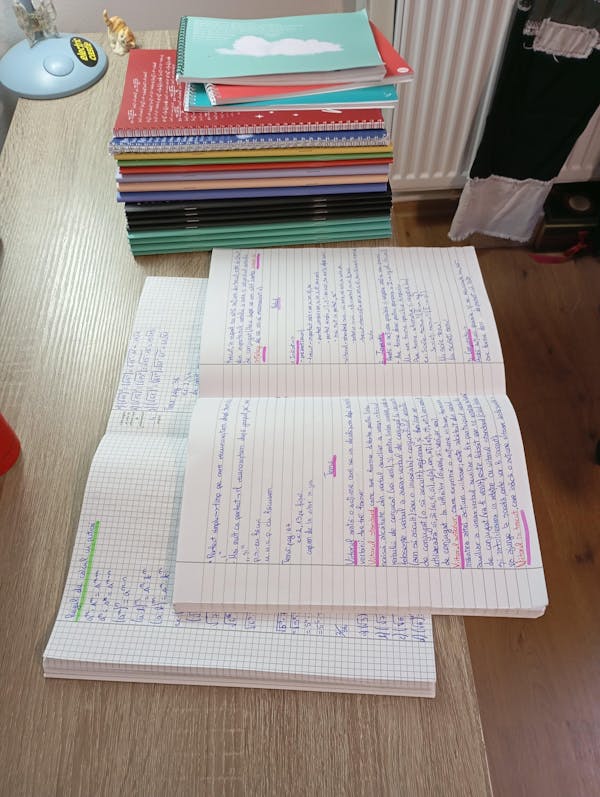 Caiet Izzie de Română A4 (cu Teorie)