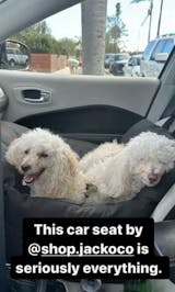 V1 Premium Dog Car Seat (Original Version)