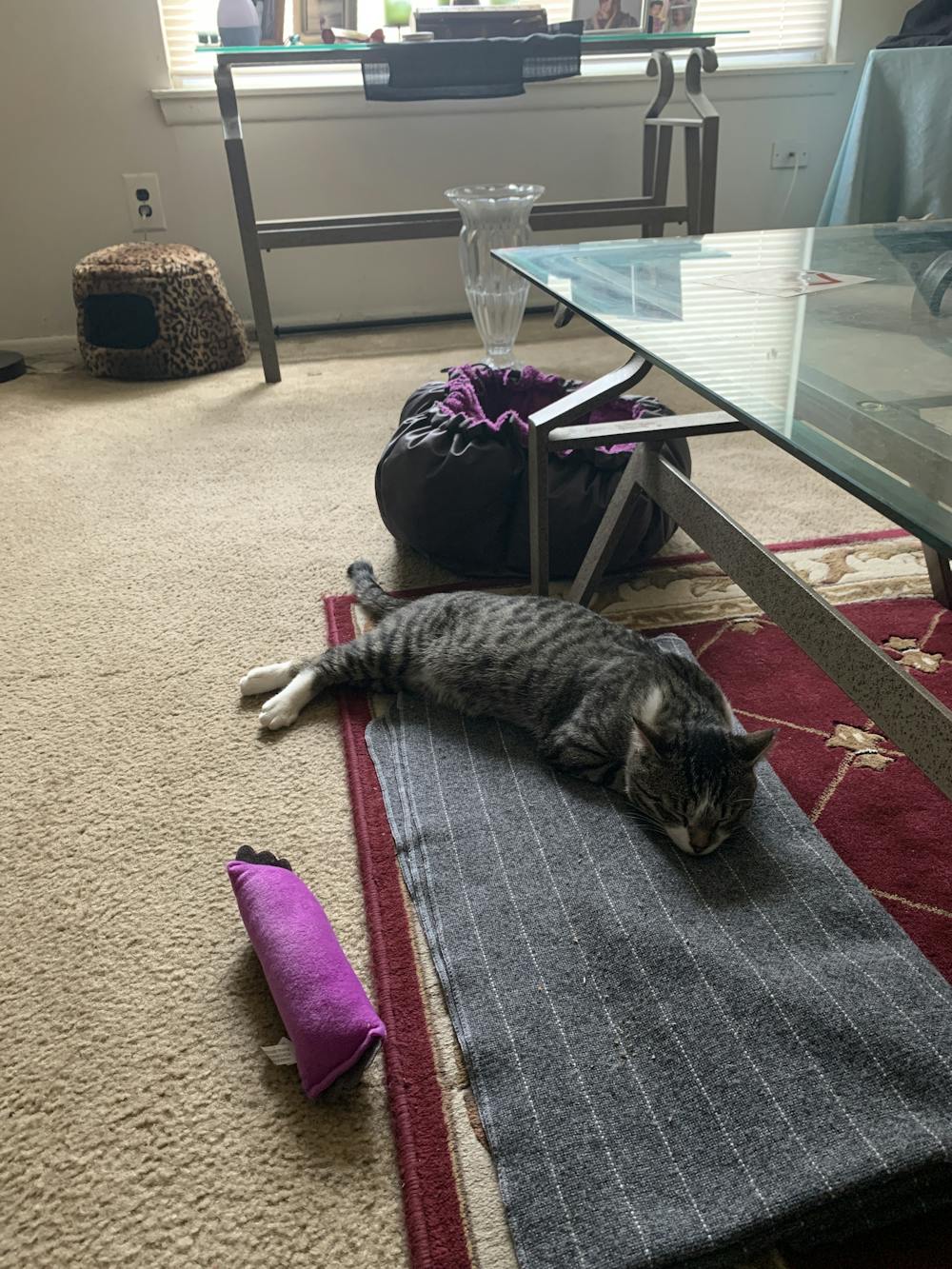 Comfy Clamshell