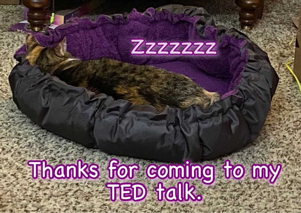 Comfy Clamshell
